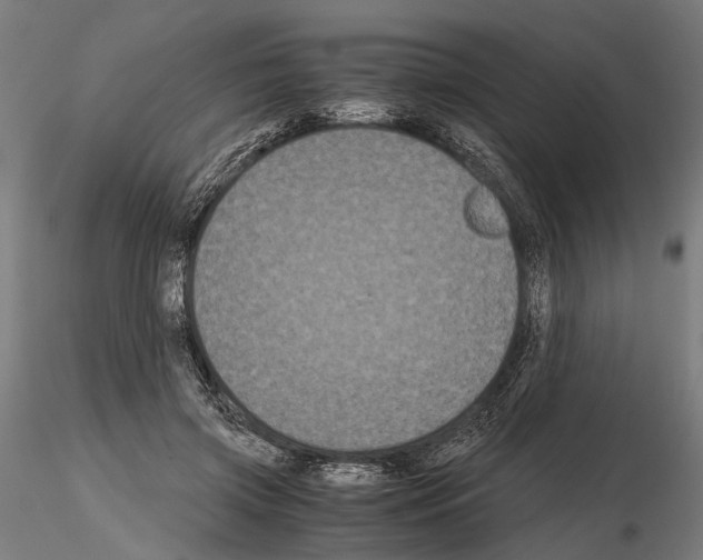 X0000115120549200912081347