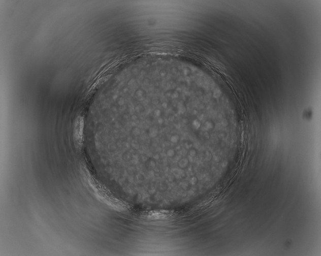 X0000115120550200912081347