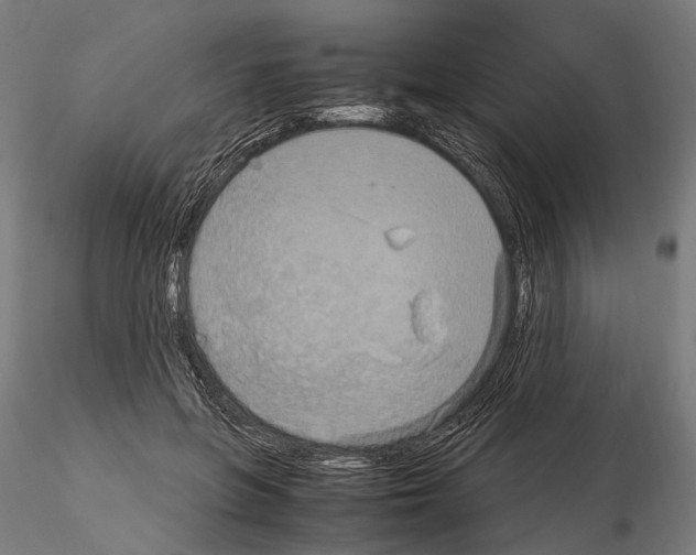 X0000115120551200912081347