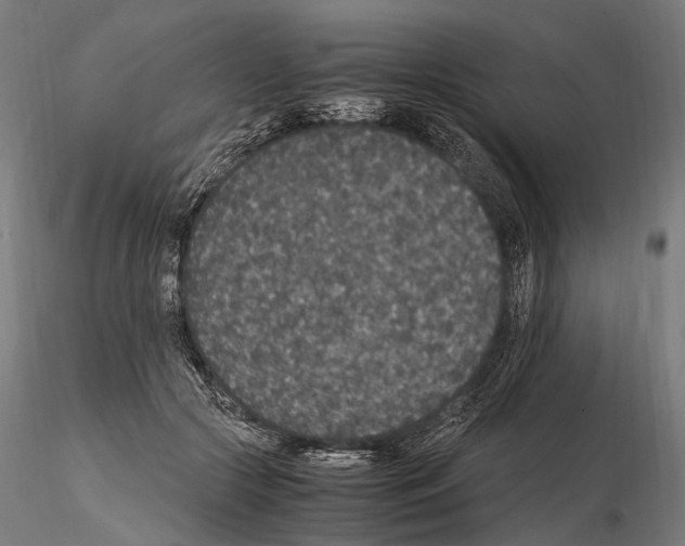 X0000115120553200912081347