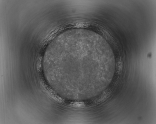 X0000115120554200912081347