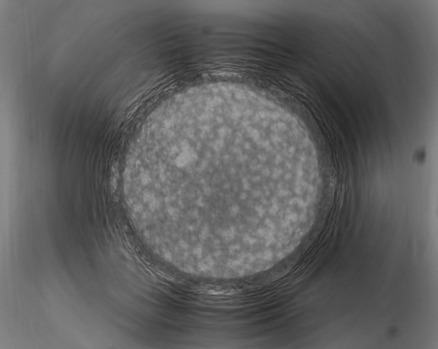 X0000115120555200912081347