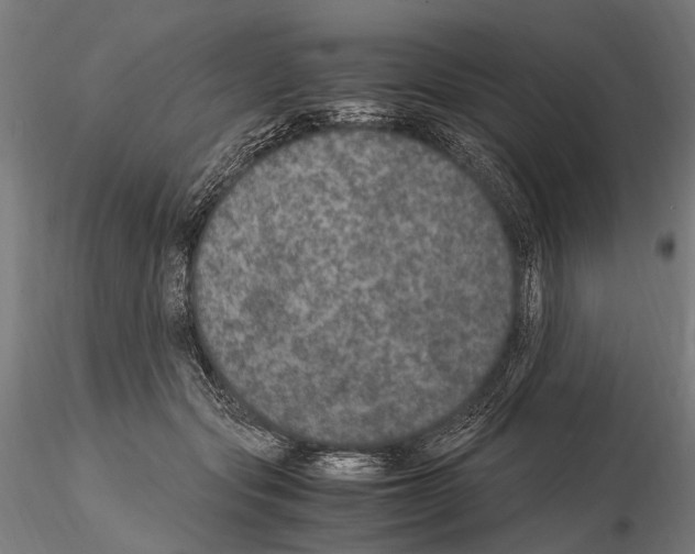 X0000115120557200912081347