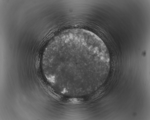 X0000115120558200912081347