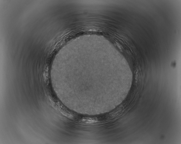 X0000115120559200912081347