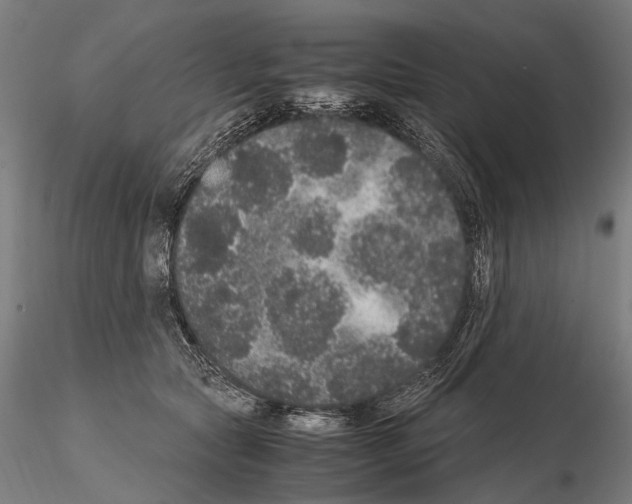 X0000115120561200912081347