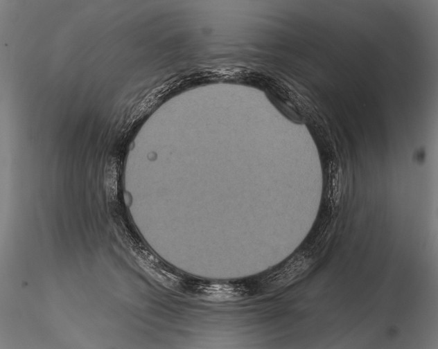 X0000115120562200912081347