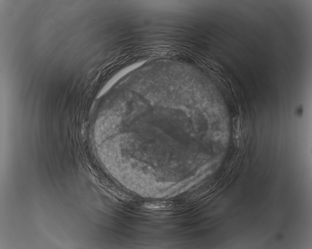 X0000115120563200912081347