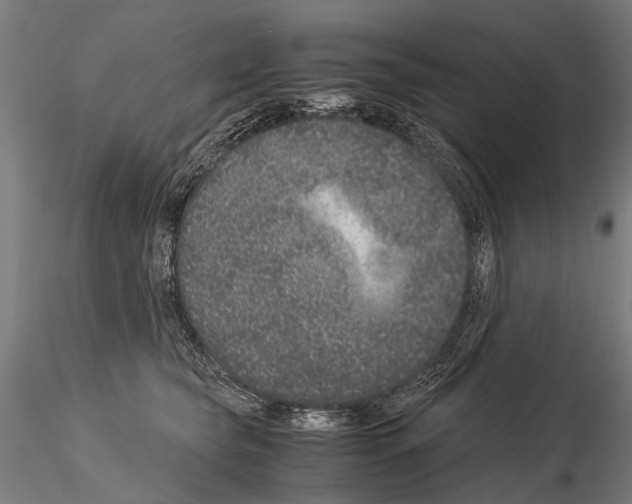 X0000115120565200912081347