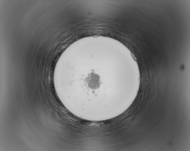 X0000115120566200912081347