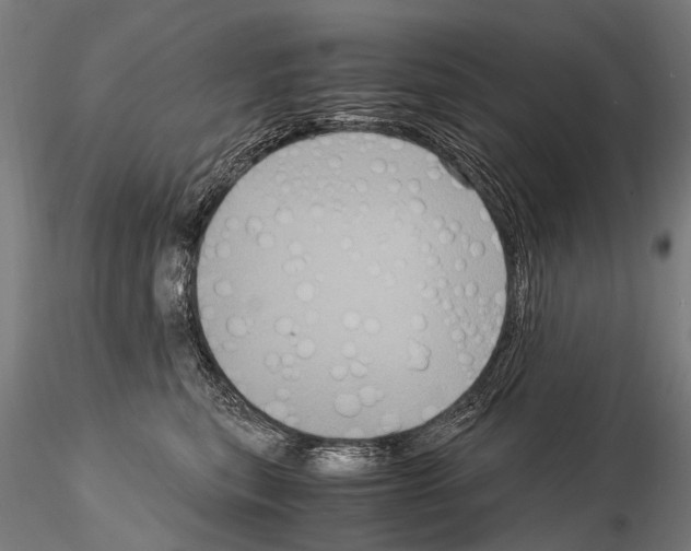 X0000115120567200912081347