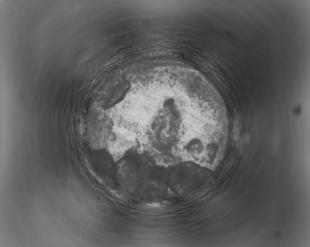 X0000115120569200912081347