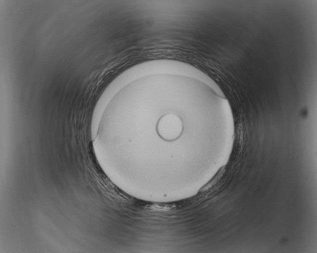 X0000115120570200912081347