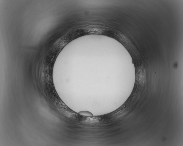 X0000115120573200912081347