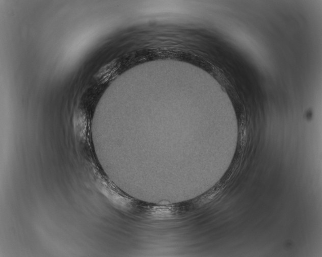 X0000115120574200912081347