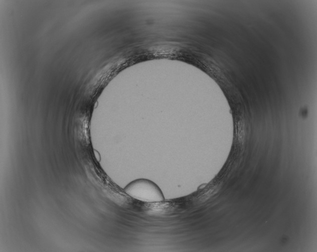 X0000115120575200912081347