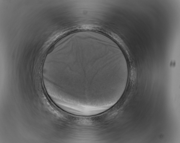 X0000115120577200912081347