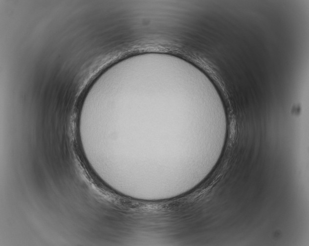 X0000115120578200912081346