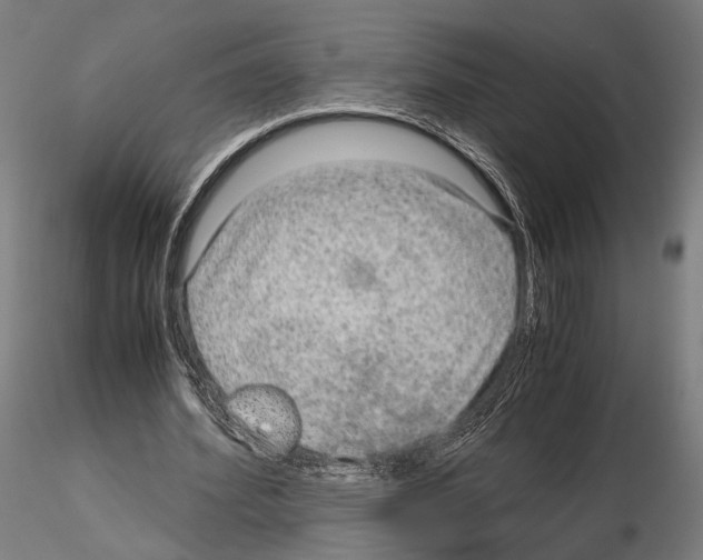 X0000115120580200912081346