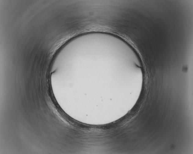 X0000115120581200912081346