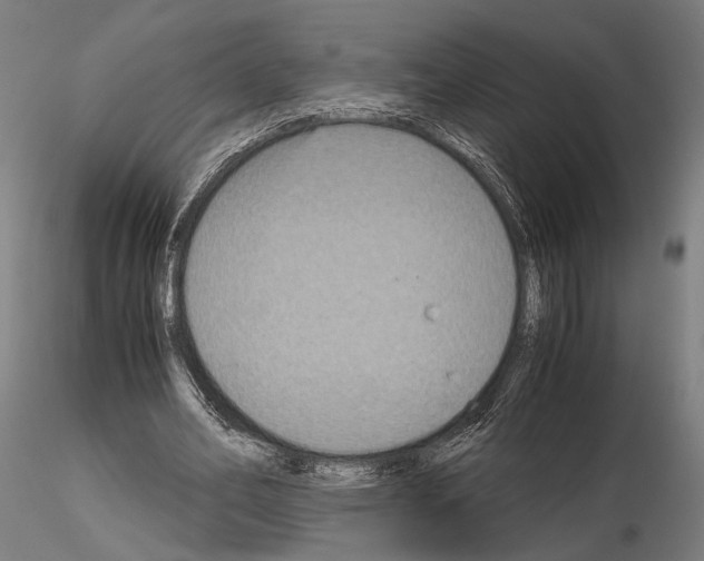 X0000115120582200912081346