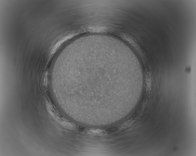 X0000115120583200912081346