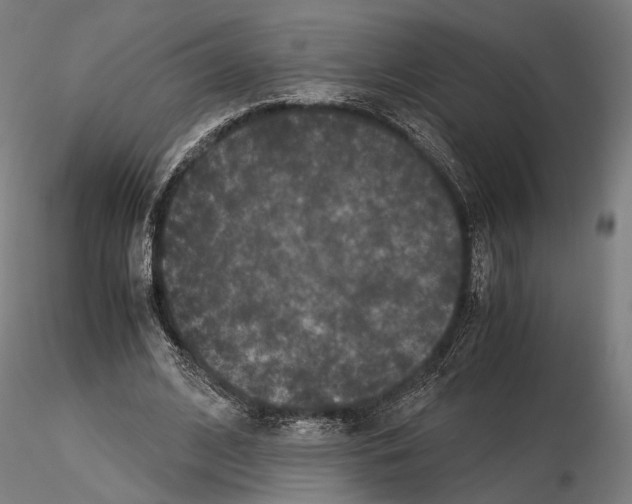 X0000115120584200912081346