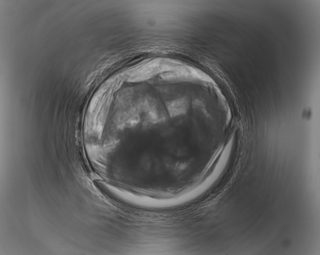 X0000115120585200912081346