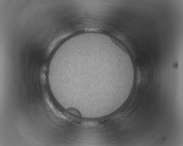 X0000115120586200912081346