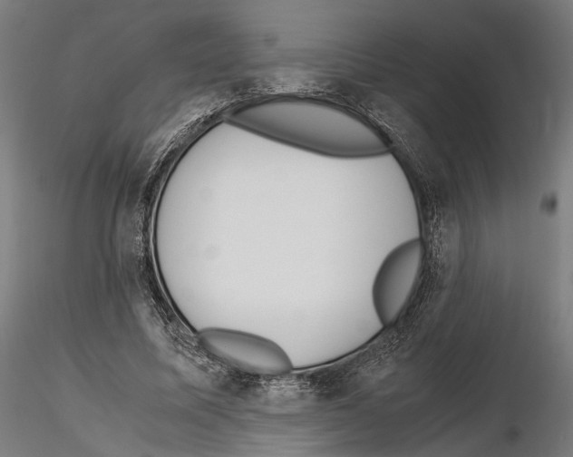 X0000115120587200912081346