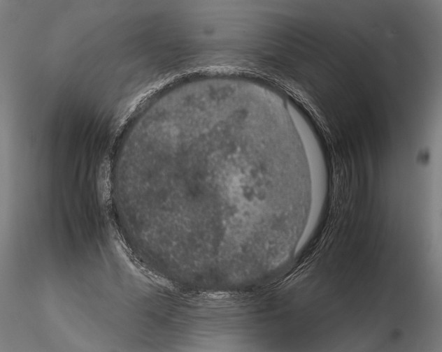 X0000115120588200912081346