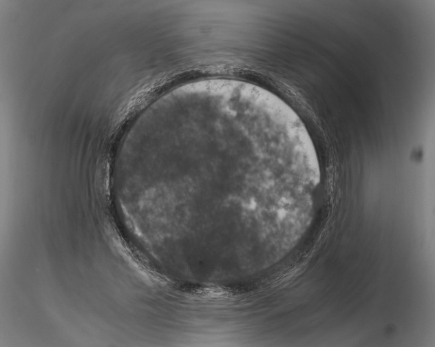 X0000115120589200912081346