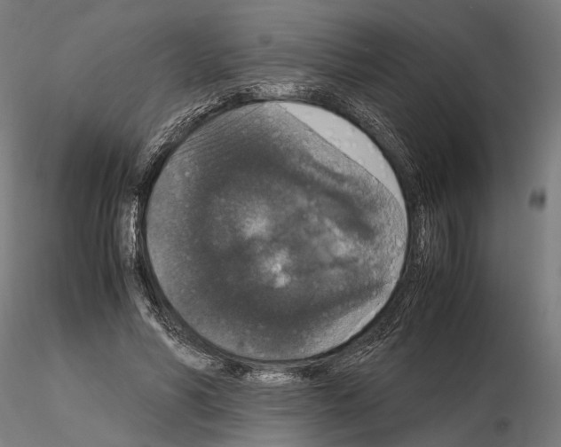 X0000115120590200912081346