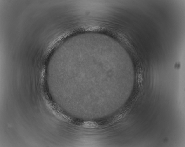 X0000115120591200912081346