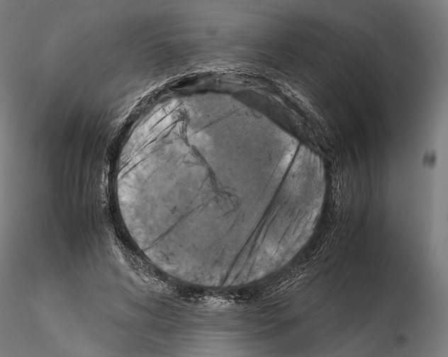 X0000115120592200912081346