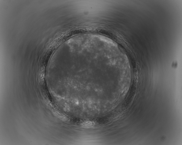 X0000115120593200912081346