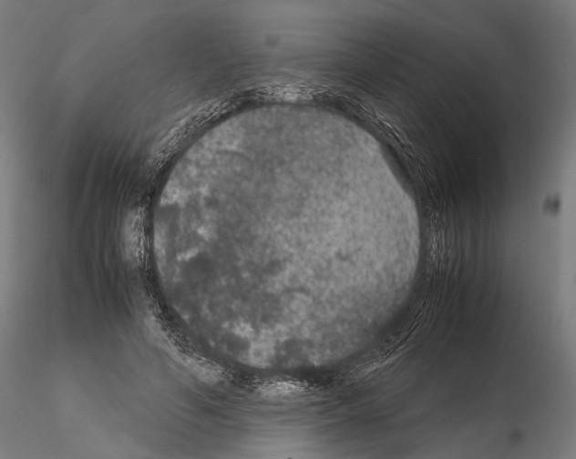 X0000115120594200912081346