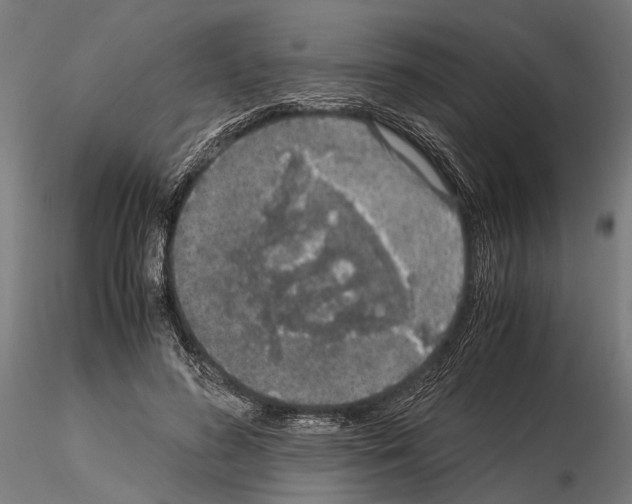 X0000115120596200912081346