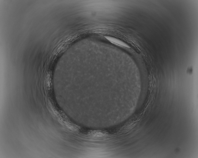 X0000115120597200912081346