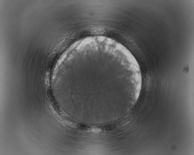 X0000115120598200912081346