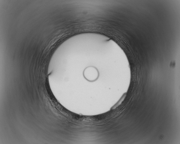 X0000115120599200912081346