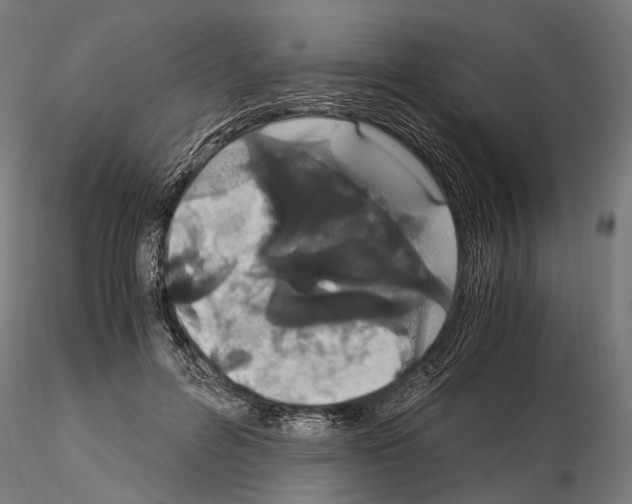 X0000115120600200912081346