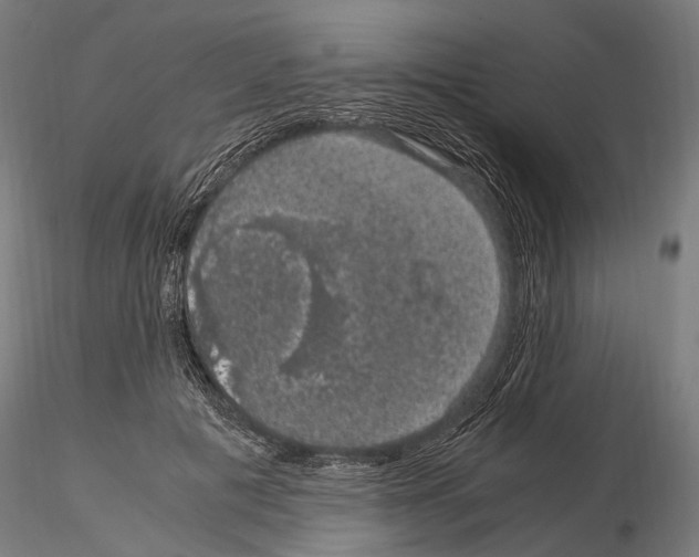 X0000115120601200912081346