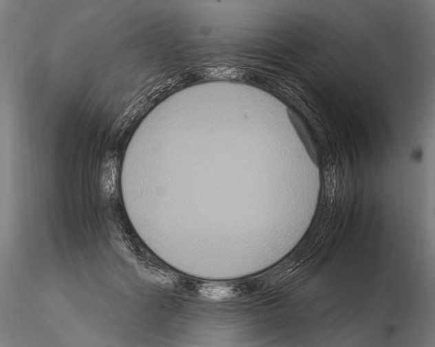 X0000115120602200912081346