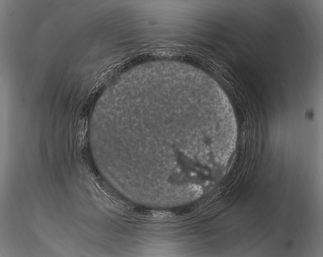 X0000115120605200912081346