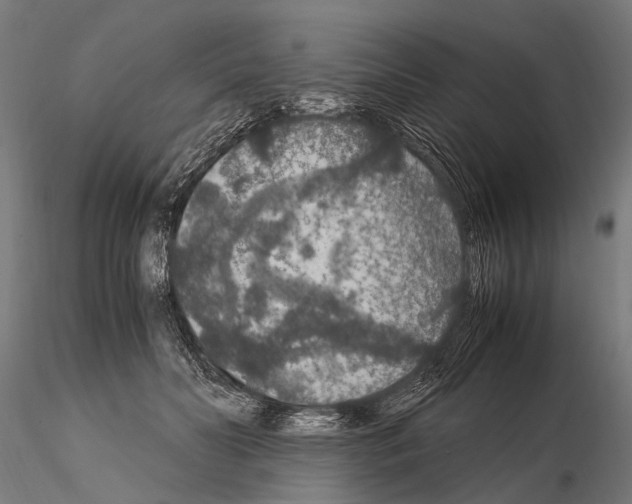 X0000115120606200912081346