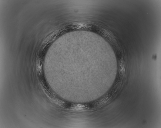 X0000115120607200912081346