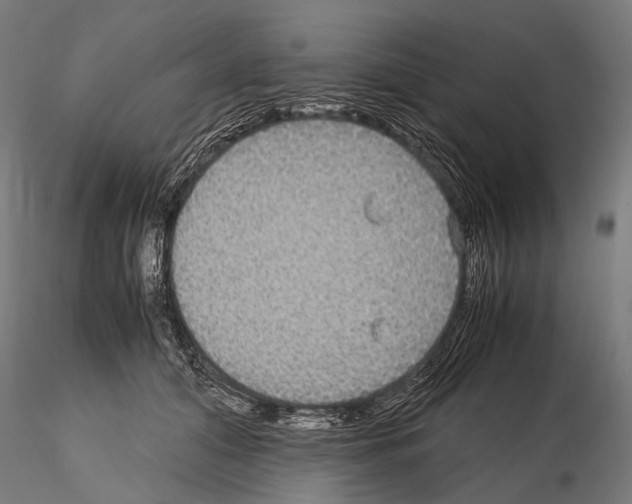 X0000115120608200912081346