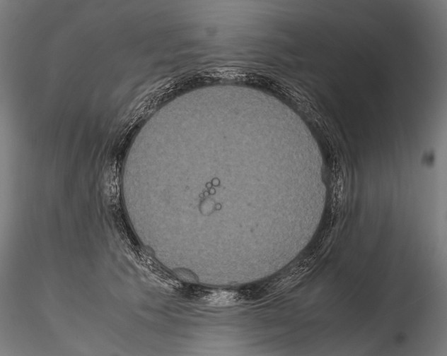 X0000115120609200912081346