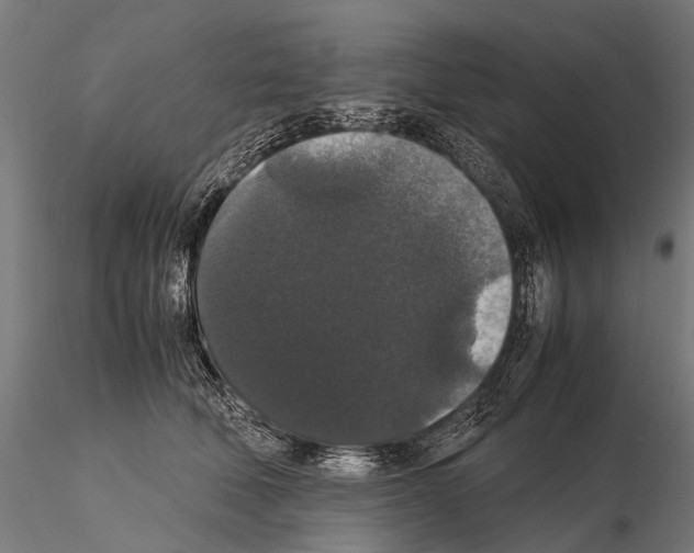 X0000115120610200912081346